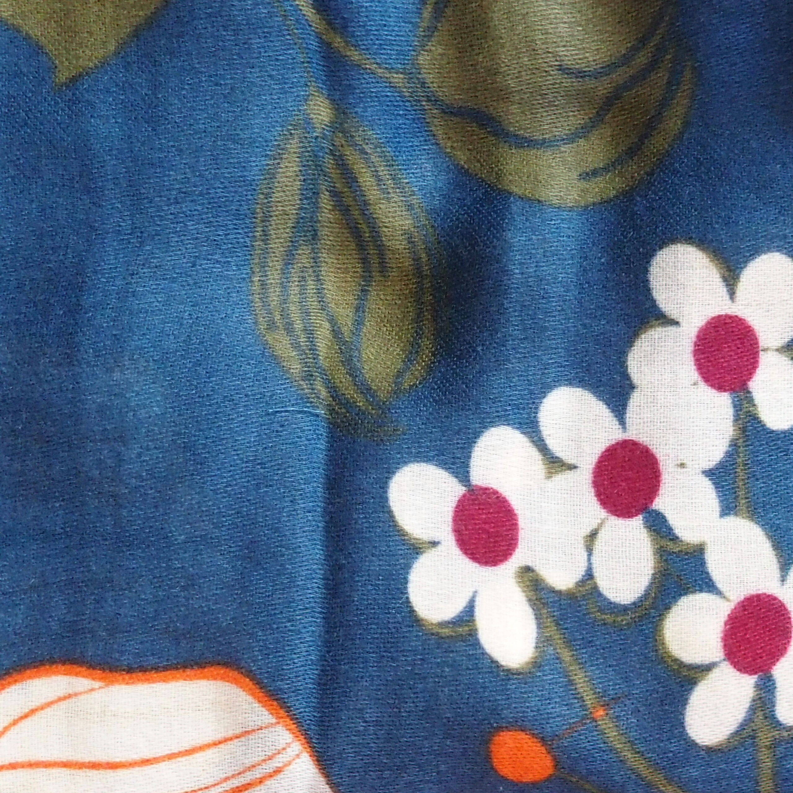 OLYMPUS DIGITAL CAMERA